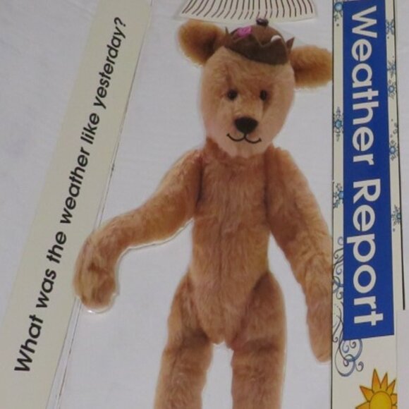 Weather Report with Teddy Bear Dress Up LAMINATED BULLETIN BOARD SET 1990s - Picture 7 of 10